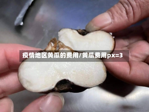 疫情地区黄瓜的费用/黄瓜费用px=3