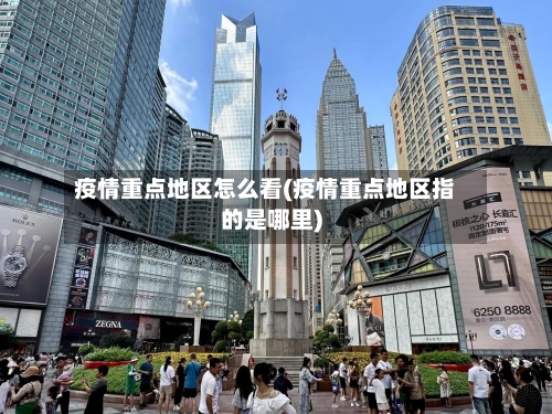 疫情重点地区怎么看(疫情重点地区指的是哪里)