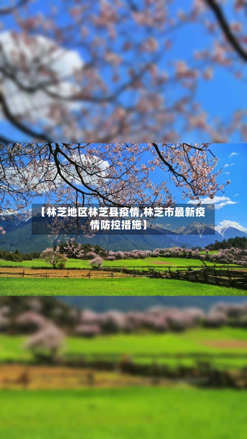 【林芝地区林芝县疫情,林芝市最新疫情防控措施】