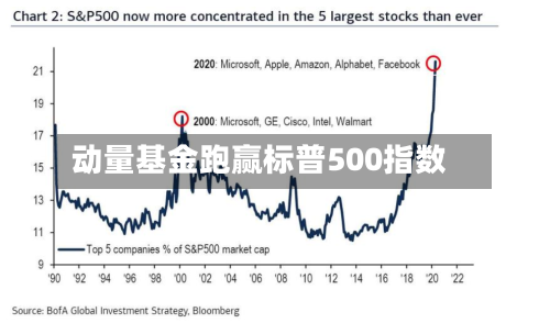 动量基金跑赢标普500指数