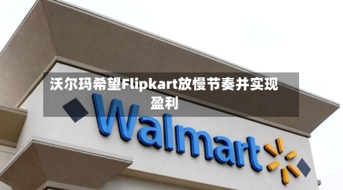 沃尔玛希望Flipkart放慢节奏并实现盈利