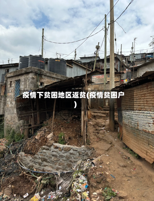 疫情下贫困地区返贫(疫情贫困户)
