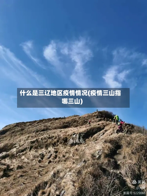 什么是三辽地区疫情情况(疫情三山指哪三山)