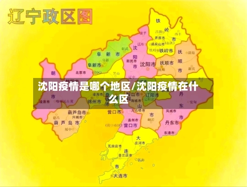 沈阳疫情是哪个地区/沈阳疫情在什么区