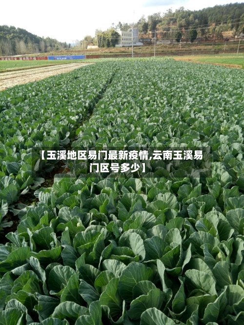 【玉溪地区易门最新疫情,云南玉溪易门区号多少】