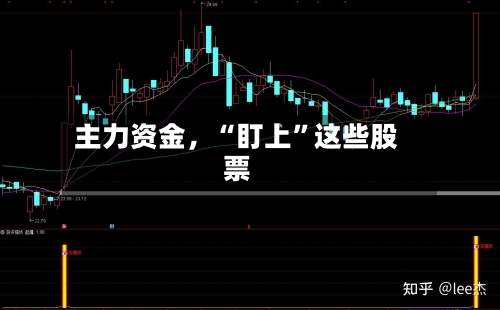主力资金，“盯上”这些股票