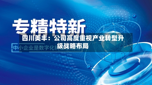 四川美丰：公司高度重视产业转型升级战略布局