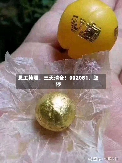 员工持股，三天清仓！002081，跌停
