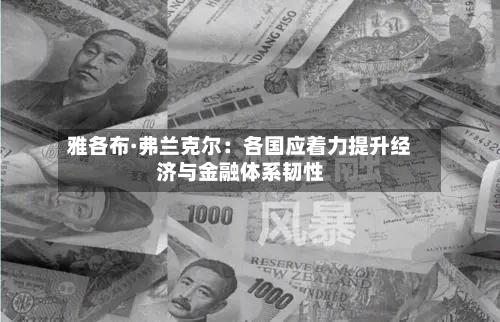 雅各布·弗兰克尔：各国应着力提升经济与金融体系韧性