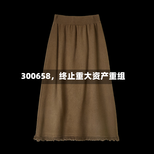 300658，终止重大资产重组