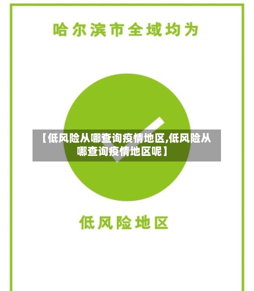 【低风险从哪查询疫情地区,低风险从哪查询疫情地区呢】