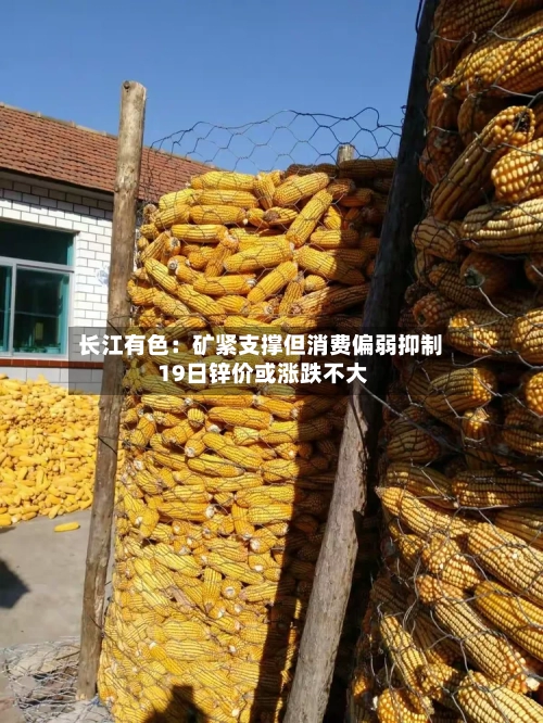 长江有色：矿紧支撑但消费偏弱抑制 19日锌价或涨跌不大