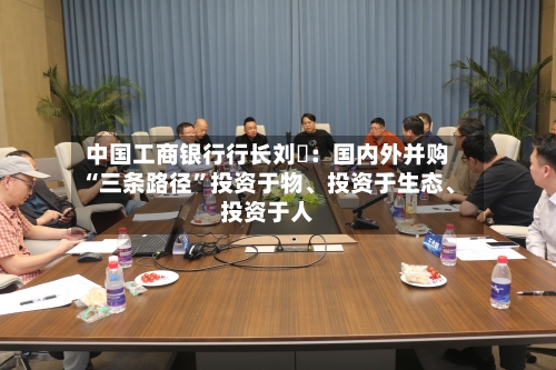 中国工商银行行长刘珺：国内外并购“三条路径”投资于物、投资于生态、投资于人