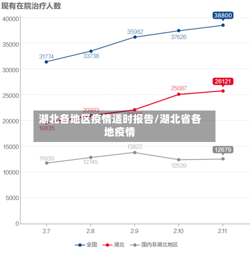 湖北各地区疫情适时报告/湖北省各地疫情