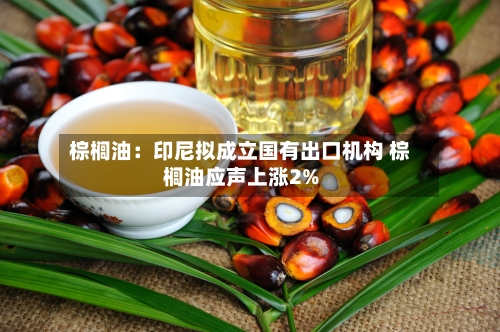 棕榈油：印尼拟成立国有出口机构 棕榈油应声上涨2%