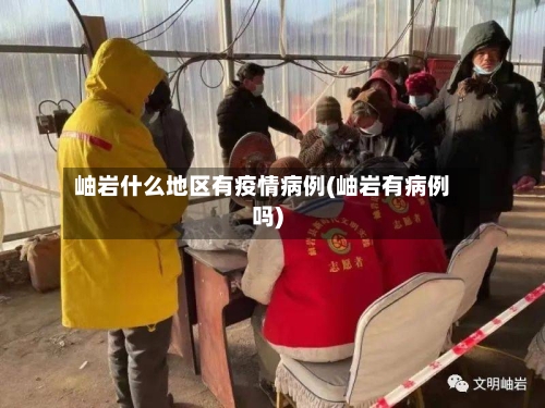 岫岩什么地区有疫情病例(岫岩有病例吗)