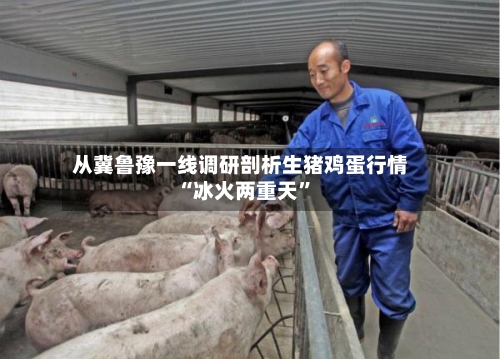 从冀鲁豫一线调研剖析生猪鸡蛋行情“冰火两重天”