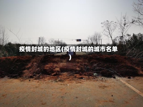 疫情封城的地区(疫情封城的城市名单)