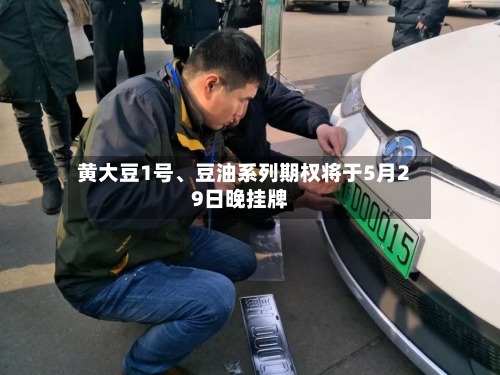 黄大豆1号、豆油系列期权将于5月29日晚挂牌