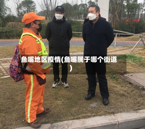 鱼嘴地区疫情(鱼嘴属于哪个街道)