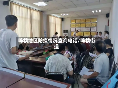 鸣犊地区防疫情况查询电话/鸣犊街道