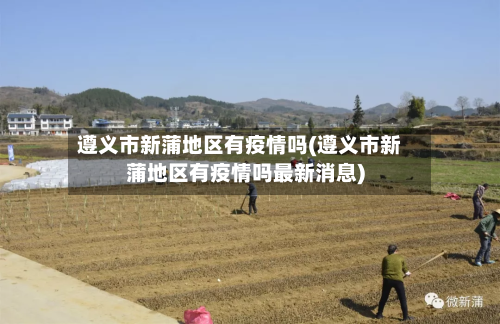 遵义市新蒲地区有疫情吗(遵义市新蒲地区有疫情吗最新消息)