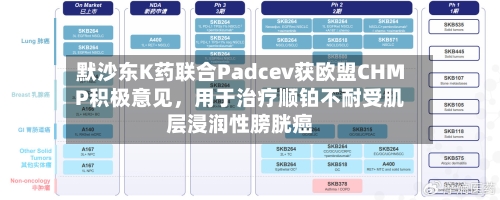 默沙东K药联合Padcev获欧盟CHMP积极意见,用于治疗顺铂不耐受肌层浸润性膀胱癌