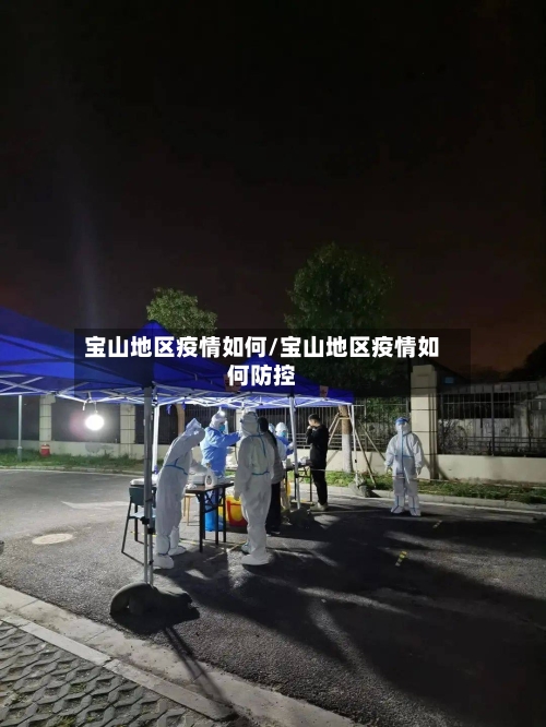宝山地区疫情如何/宝山地区疫情如何防控