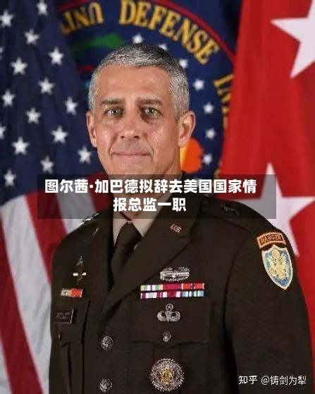 图尔茜·加巴德拟辞去美国国家情报总监一职