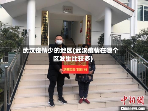 武汉疫情少的地区(武汉疫情在哪个区发生比较多)