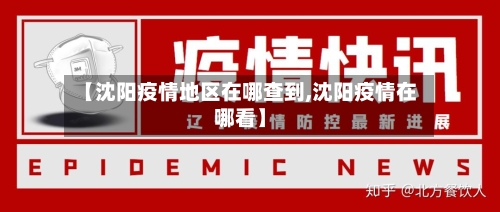【沈阳疫情地区在哪查到,沈阳疫情在哪看】