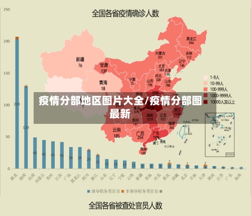 疫情分部地区图片大全/疫情分部图最新