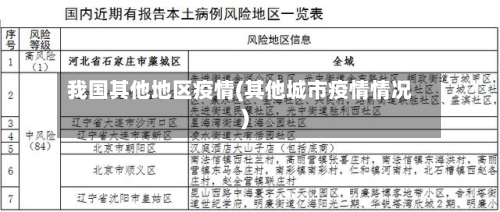 我国其他地区疫情(其他城市疫情情况)