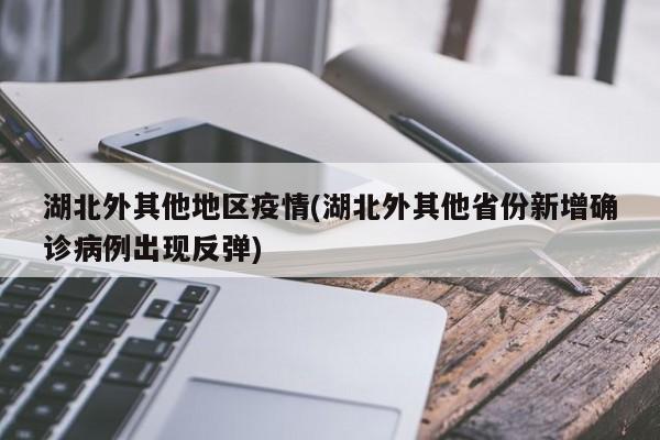 湖北外其他地区疫情(湖北外其他省份新增确诊病例出现反弹)
